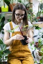 Florist work greenhouse. Young woman freelancer gardener take care of plant in indoor garden or shop Royalty Free Stock Photo