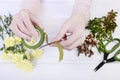 How to make Easter wreath with carnation, buxus and catkins