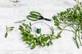 Florist at work: how to make mistletoe door wreath tutorial