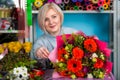 Florist in the workplace. Flower shop. Portrait of a smiling woman Royalty Free Stock Photo