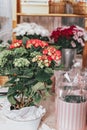 Florist workplace. Small business concept. Flowers and accessories. Vertical shot Royalty Free Stock Photo
