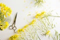 Florist, worktable with wild yellow flowers Royalty Free Stock Photo