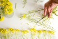 Florist, worktable with wild yellow flowers Royalty Free Stock Photo