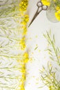 Florist, worktable with wild yellow flowers Royalty Free Stock Photo