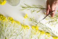 Florist, worktable with wild yellow flowers Royalty Free Stock Photo