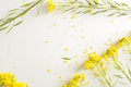 Florist, worktable with wild yellow flowers Royalty Free Stock Photo