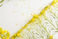 Florist, worktable with wild yellow flowers Royalty Free Stock Photo