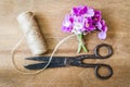 Floristic background. Flowers, old scissors and a rope. Royalty Free Stock Photo