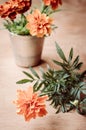 Floristic background with marigold flower on wooden background. Royalty Free Stock Photo