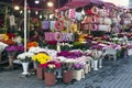 Florists in Istanbul Royalty Free Stock Photo