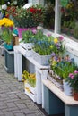 Florists Shop Pavement Display Royalty Free Stock Photo