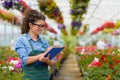 Florists woman working with flowers in a greenhouse