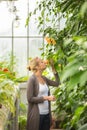 Florists woman working in greenhouse. Royalty Free Stock Photo