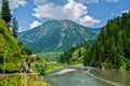 Floting timber in the neelum river Royalty Free Stock Photo