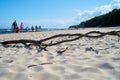 Flotsam on a beach on the Polish Baltic coast