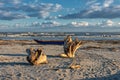 Flotsam and jetsam on Shore in Italy