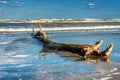 Flotsam and jetsam on Shore in Italy