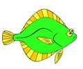 Flounder