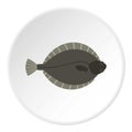 Flounder fish icon circle