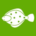 Flounder fish icon green Royalty Free Stock Photo