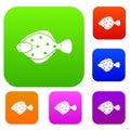 Flounder fish set collection