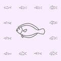 flounder icon. Fish icons universal set for web and mobile