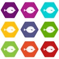 Flounder icon set color hexahedron