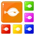 Flounder icons set vector color