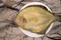 Flounder with lemon top view toned frame, selective focus Royalty Free Stock Photo