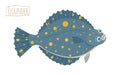 Flounder vector illustration, cartoon style