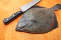 Flounder Royalty Free Stock Photo