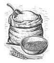 Flour for baking concept. Farm organic food. Hand drawn sketch vintage illustration