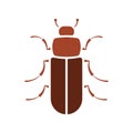 Flour beetle icon