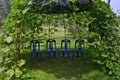 Flour blue chairs in the shadow of vine trellis arch Royalty Free Stock Photo