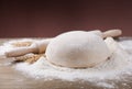 Flour, dough and rolling pin spikes on the board Royalty Free Stock Photo