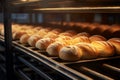 Flour dusted bakery conveyor rolls out a tempting array of fresh bread Royalty Free Stock Photo