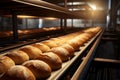 Flour dusted bakery conveyor rolls out a tempting array of fresh bread Royalty Free Stock Photo