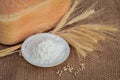 Flour, ears of wheat and fresh baked bread on a burlap background Royalty Free Stock Photo