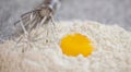 Flour, Egg Yolk and Egg Beater III Royalty Free Stock Photo