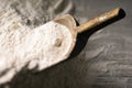 Flour scoop