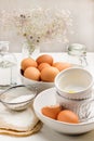 Flour and sieve on paper. The egg is on table. Brown chicken eggs in bowl Royalty Free Stock Photo