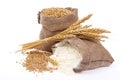 Flour and wheat grain Royalty Free Stock Photo