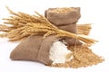 Flour and wheat grain Royalty Free Stock Photo