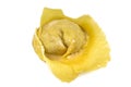 Flouring tortellini ready to cook Royalty Free Stock Photo