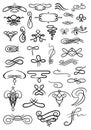 Flourish calligraphic design elements. Vintage swirls and scrolls for page decoration. Ornate symbols for retro design Royalty Free Stock Photo