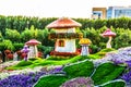 Flourish Landscape of Miracle Garden with over 45 million flowers on a sunny day, Flower Garden in Dubai, UAE