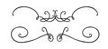 Flourish ornament as monogram or divider for wedding invitations and other designs. Handdrawn flourish isolated in white