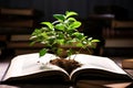 A flourishing green plant grows from the pages of an open book