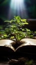 A flourishing green plant grows from the pages of an open book