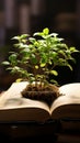 A flourishing green plant grows from the pages of an open book